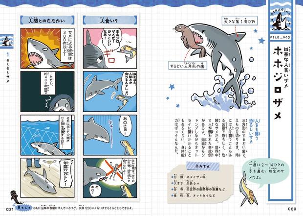 ゆる いサメたちが常識を覆す ゆるゆるサメ図鑑 を侮るなかれ Kai You Net