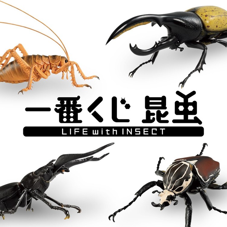 デカすぎ 世界の巨大昆虫が原寸フィギュアに 夏の虫取りは一番くじで Kai You Net