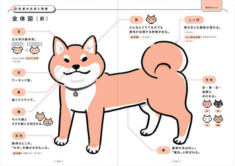 必読の書 柴犬のトリセツ 柴歴24年のイラストレーターによるオール図解 Kai You Net