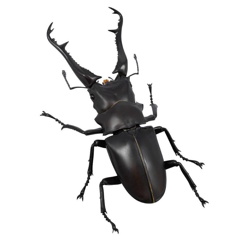 ★海洋堂　全地球立体生物目線　リボジオ　ギラファノコギリクワガタ Amazon.co.jp: リボジオ 海洋堂 全地球立体生物目録 ギラファ