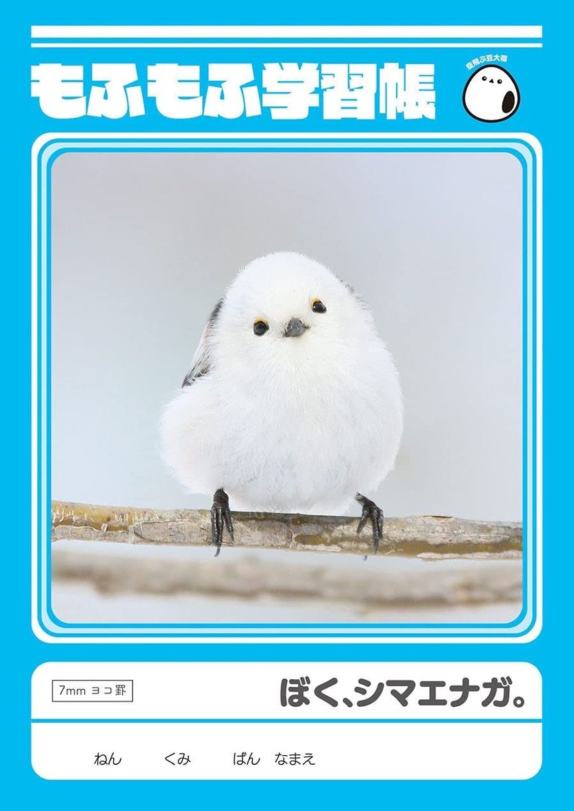 めんこい野鳥「シマエナガ」の角砂糖 コーヒータイムにやってきた雪の妖精 - KAI-YOU