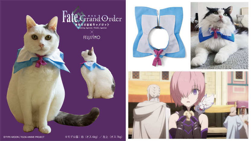 FGO マシュのレジャーシート＋ばんそうこう フェリシモ グッズ