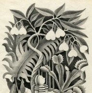 『エルマーのぼうけん』原画 1948年 © Dragon Trilogy Irrevocable Trust /Kerlan Collection of Children&#039;s Literature, University of Minnesota Libraries, USA.