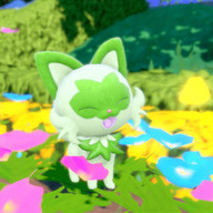 ポケモン スカーレット・バイオレット20