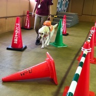 画像はやしろあずきさんのTwitterより