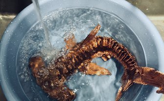 針金造形という深世界　動物も『エヴァ』も再現する凄い技術