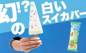今年は真っ白！ 幻の白いスイカバー登場　気になるその味とは？