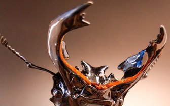 躍動感溢れるクワガタに惚れ惚れ！ 昆虫写真家「ムシキングに出会わなければ撮れなかったかも」