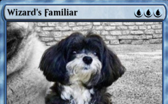 イーロン・マスクに『MTG』プレイヤー説浮上　今度は愛犬をカード化