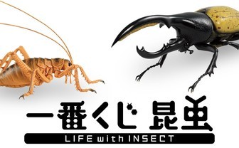 デカすぎ！世界の巨大昆虫が原寸フィギュアに　夏の虫取りは一番くじで