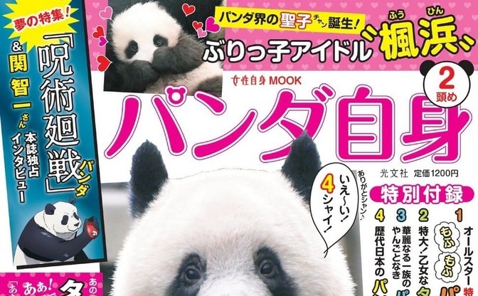 雑誌 パンダ自身 で 呪術廻戦 パンダ特集 世界のスターパンダと肩を並べる Kai You Net