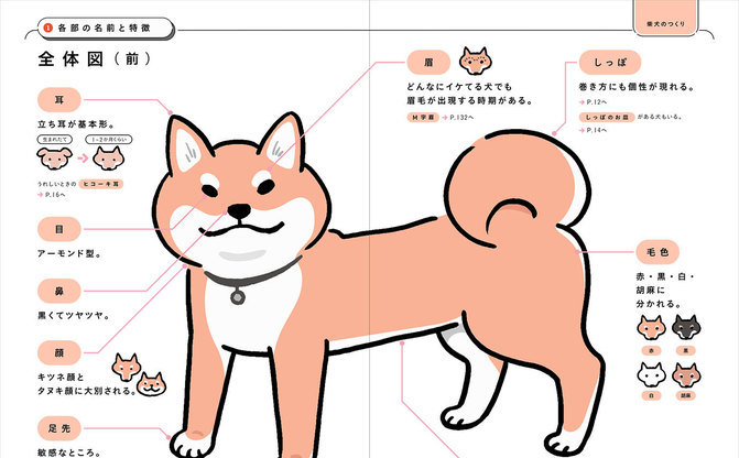 必読の書 柴犬のトリセツ 柴歴24年のイラストレーターによるオール図解 Kai You Net