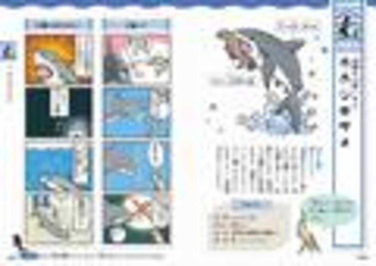 ホホジロザメ