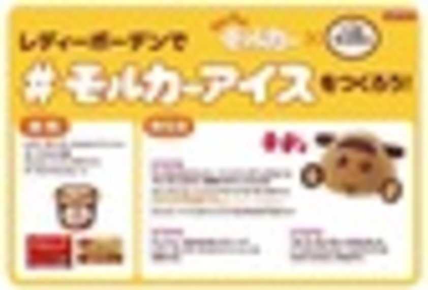 テディ