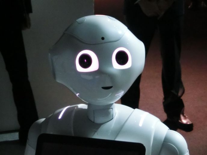 Pepper
